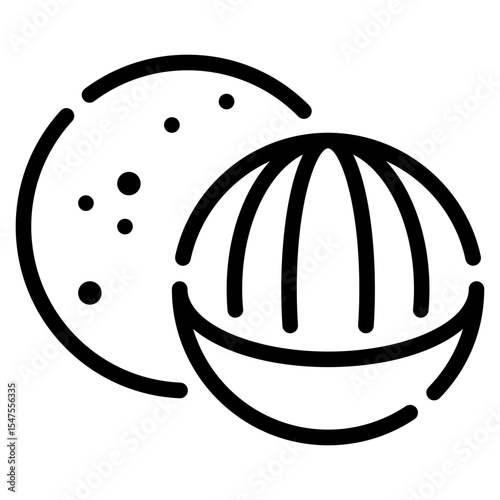 Duku Fruit Vector Illustration