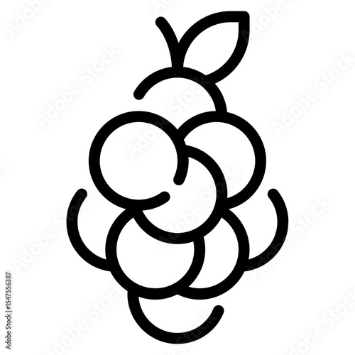 Langsat Fruit Vector Illustration