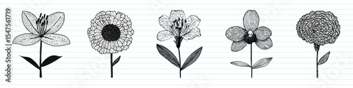 Intricate floral line art designs, vector set