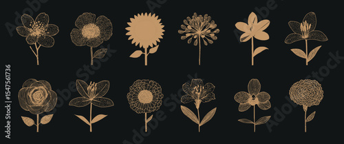 Elegant floral line art collection, vector set
