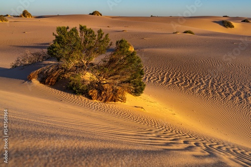 Принти на полотні Sunrise Over Sand Dunes at Mungo National Park, Australia