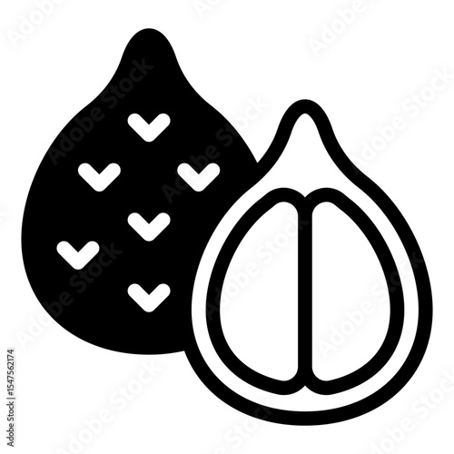 Salak Fruit Vector Illustration