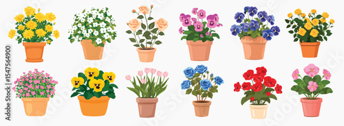 Colorful potted flowers illustration, isolated vector set