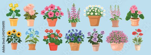 Colorful potted flowers illustration, isolated vector set