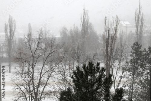 Snowfall in the city.