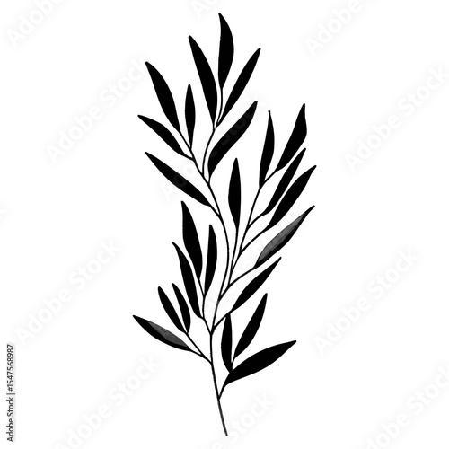 Leaf Fern leaves shape brush stroke simple black art vector