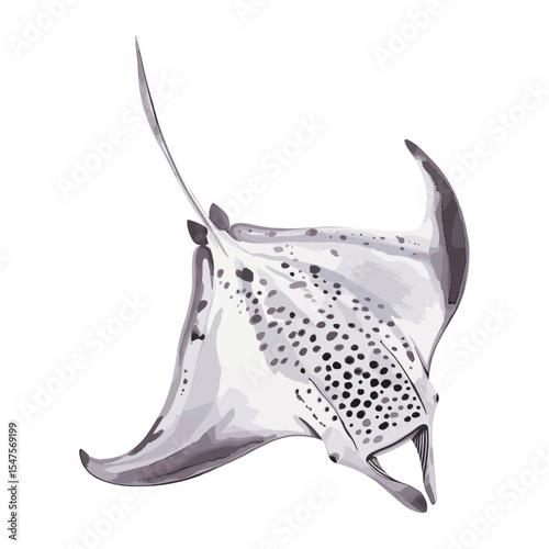 Cute manta ray illustration animal underwater graceful vector