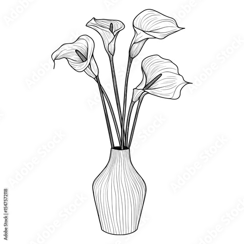 Calla lilies in a vase minimalist drawing elegant vector