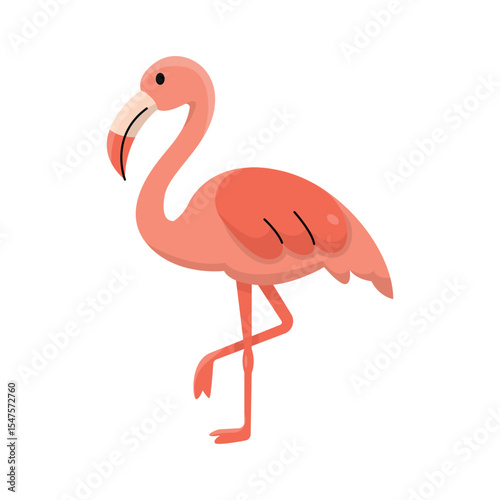 Pink Flamingo Vector Illustration Tropical Bird Artwork