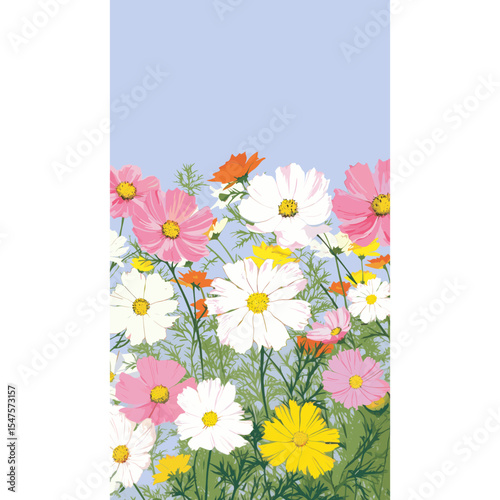 Cosmos flower flowers nature aster vector