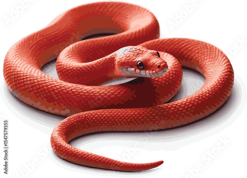 RED snake on white background 100% VECTOR