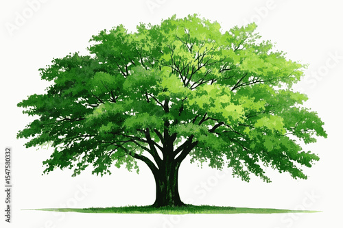 Towering Presence Big tree isolated watercolor vector illustration svg