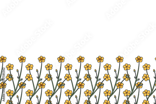 Botanical floral horizontal border with meadow flowers isolated on white background. Hand drawn little yellow wildflowers plant vector illustration.Graphic design element for Birthday Wedding Greeting