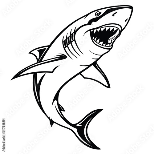 Great White Shark Black and White Vector Illustration