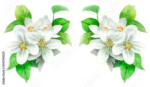 水彩で描いたりんごの花のフレーム素材