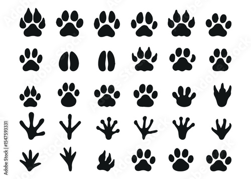Big set with animals footprint in black color. Paw trace in different shape. Vector illustration