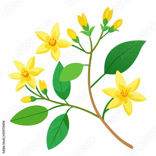 Lifelike vector illustration of a delicate yellow jasmine flower with detailed petals