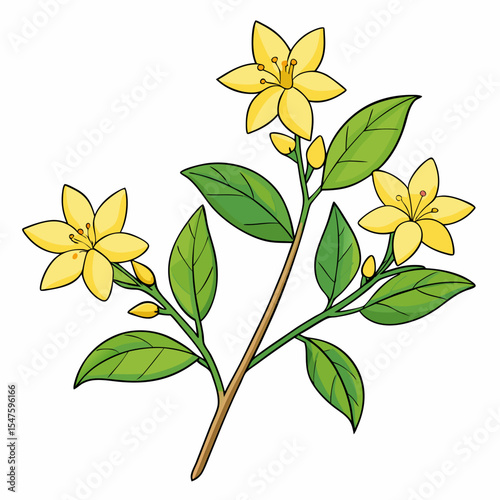 A delicate and lifelike vector illustration of a yellow jasmine flower with delicate details
