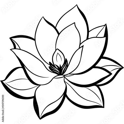Elegant white magnolia flower with delicate petals and leaves