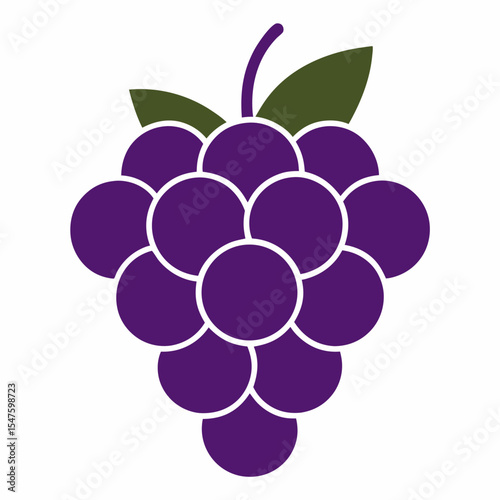 vector illustration of grapes