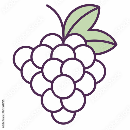 vector illustration of a grape