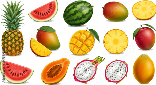 Flat lay vector illustration of summer fruits ; watermelon, mango, pineapple, papaya, and dragon fruit, with cut and whole variations
