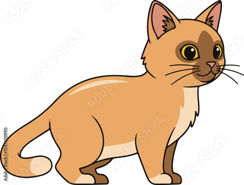 vector illustration of a cat