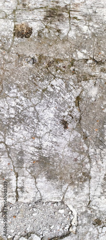 Obraz premium river in winter