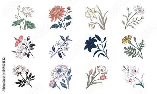 Elegant floral collection featuring twelve diverse botanical illustrations on a white background
