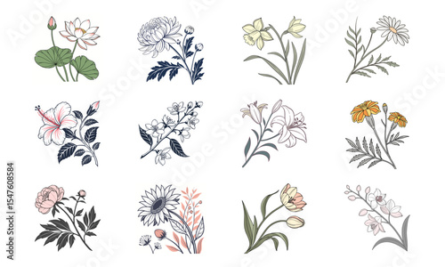 A collection of 12 elegant botanical illustrations featuring diverse floral arrangements and blossoms on white background