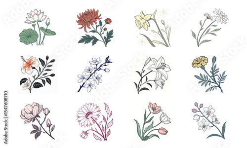 Assortment of elegant hand drawn floral elements depicting twelve distinct flower varieties for design use