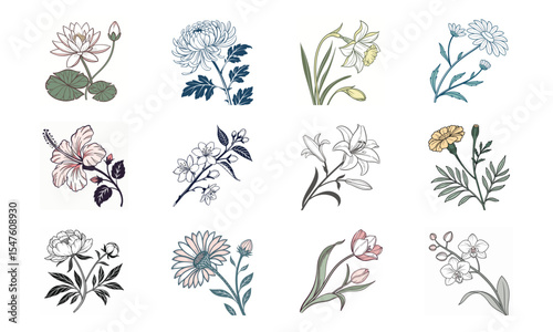 Twelve exquisite hand-drawn floral arrangements perfect for botanical illustration design