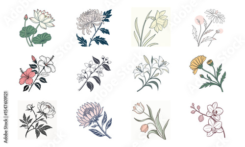 Elegant vector illustrations of twelve diverse floral arrangements and botanical elements