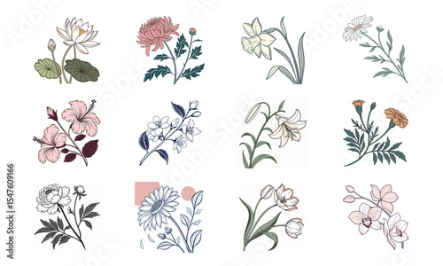 Floral vector illustration collection featuring diverse botanical arrangements of various flowers