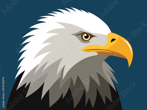 american bald eagle vector illustration