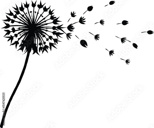  dandelion blowing in wind silhouette