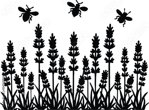  lavender field with bees silhouette