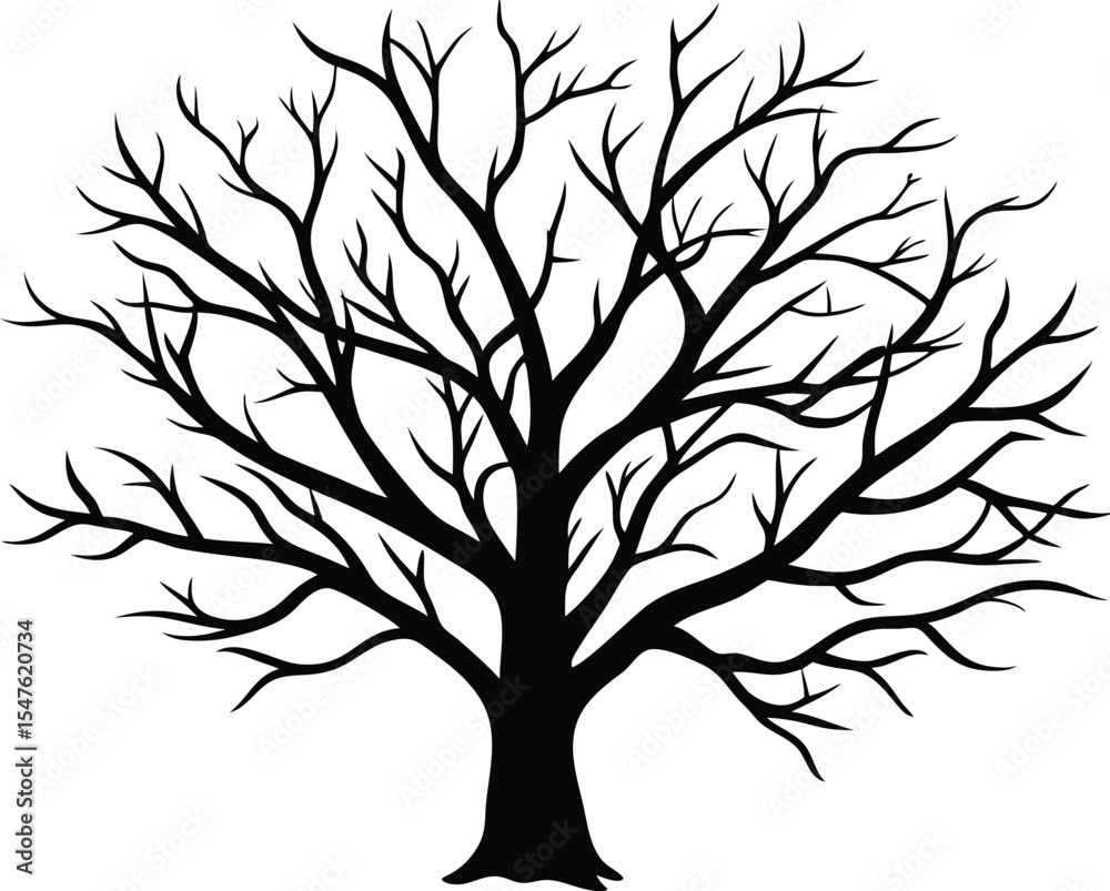 Obraz premium Bare Winter Tree Branches Silhouette, Leafless Tree Seasonal Design