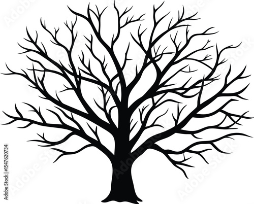 Bare Winter Tree Branches Silhouette, Leafless Tree Seasonal Design