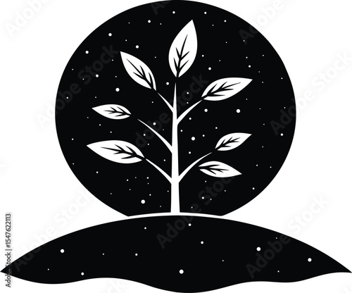 Young Sapling in Open Space Silhouette, New Tree Growth Nature Scene