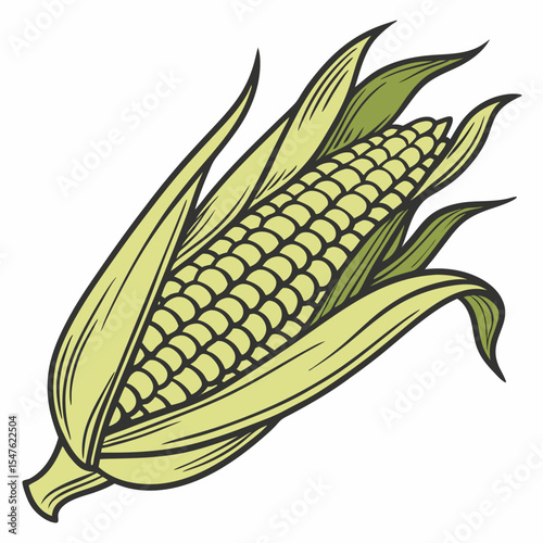 A delightful hand-drawn style vector illustration of an ear of corn with its husk peeled back, revealing the kernels. Perfect for conveying themes of agriculture, harvest, and fresh produce.
