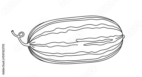 Vector graphic of cantaloupe fruit with detailed line art for digital illustration