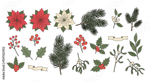 Christmas botanical vector illustration set of winter plants holiday floral collection elements