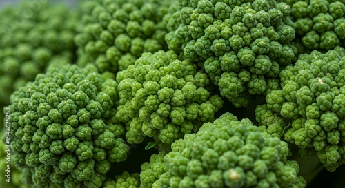 Romanesco Broccoli: A Close-Up Revelation of Fractal Beauty