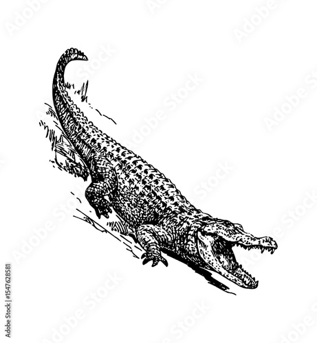 silhouette of a crocodile