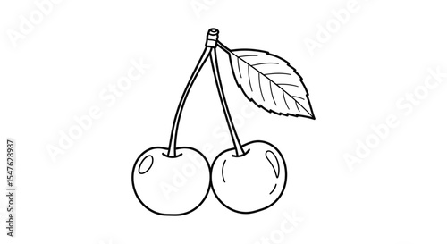 A pair of cherries vector illustration with green leaf on a stem