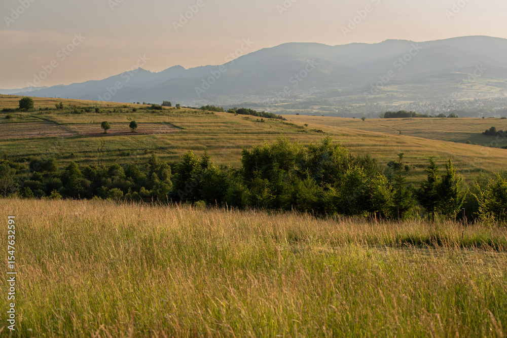 Fototapeta premium Beskid Żywiecki, widok na okoliczne szczyty 