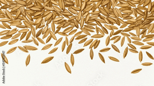 Single Kernel Rice grain isolated watercolor vector illustration svg