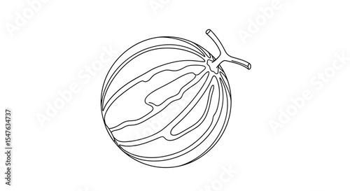 Hand drawn melon vector illustration fresh fruit ripe seasonal healthy diet concept