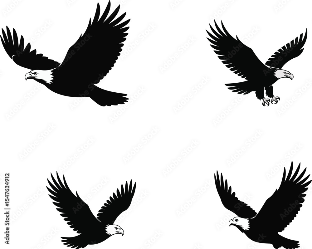 Fototapeta premium Four bald eagle silhouettes in flight with wings spread on a white background in various positions